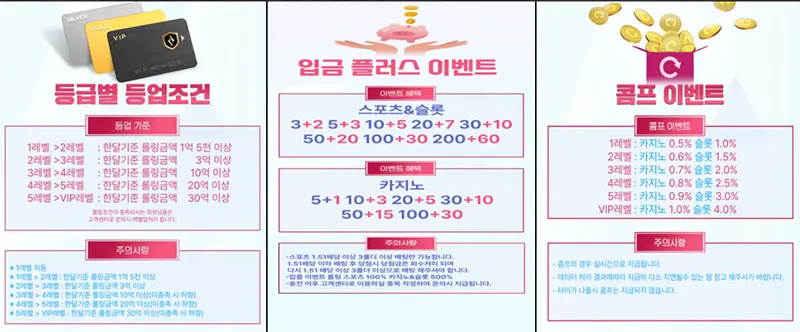 비카지노 이벤트