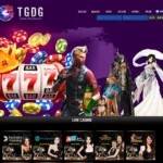 티지디지카지노(TGDG CASINO) 카지노/바카라/라이브카지노 신규사이트 추천