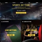 골인벳(GOALIN BET)