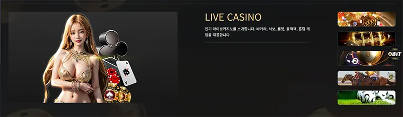 BIT CASONO_livecasino