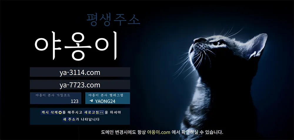 야옹이 토토의 이벤트, 사이트 주소와 도메인 정보 안내