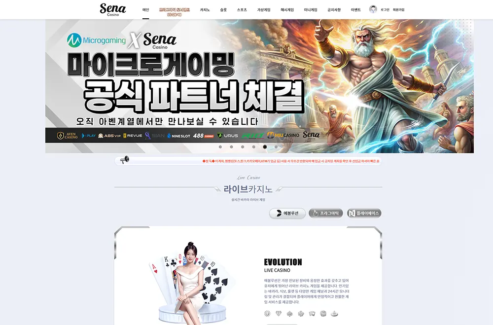 sena.casino의 사이트 주소, 이벤트, 먹튀 검증, 도메인 정보 안내