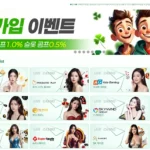 라이즈 카지노 바카라 슬롯 주소 먹튀 검증 이벤트 도메인 정보