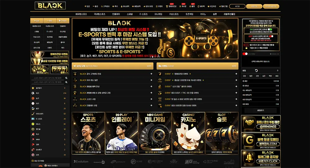 블랙벳의 최신 사이트 주소, 이벤트, 평생도메인, 도메인 정보 안내