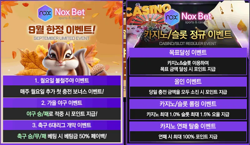 녹스벳 이벤트