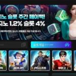 빙고카지노(BinGo Casino)