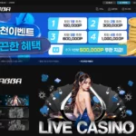 아바카지노 라이브 바카라 슬롯 사이트 주소 이벤트 도메인 정보