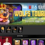 볼프스카지노 바카라 슬롯 사이트 주소 이벤트 도메인 정보