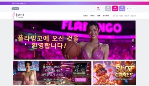 플라밍고 토토 카지노 보더게임 사이트 주소 이벤트 도메인 정보